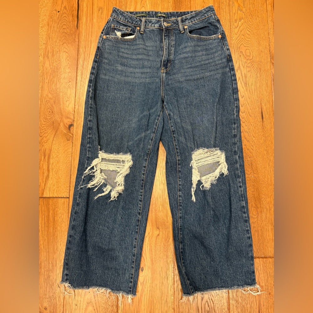 Wild Fable Blue Distressed Flare Jeans